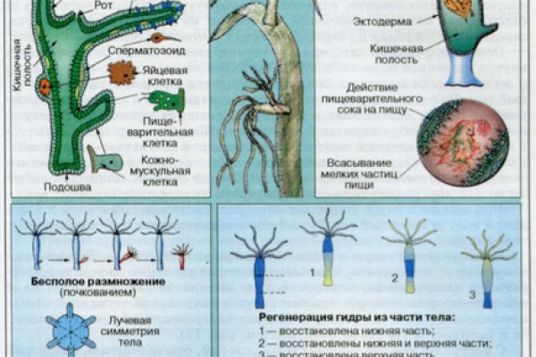 Доступ к сайту кракен