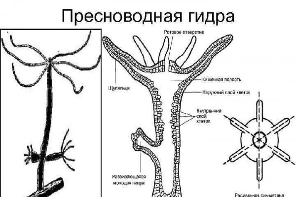 Даркнет кракен