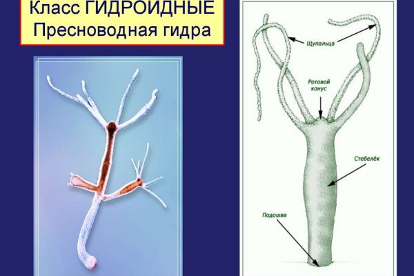 Кракен даркнет ссылка зеркало